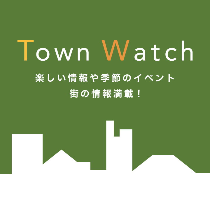 Town Watch